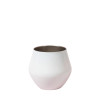 White Shiraz Detachable Wine Glasses